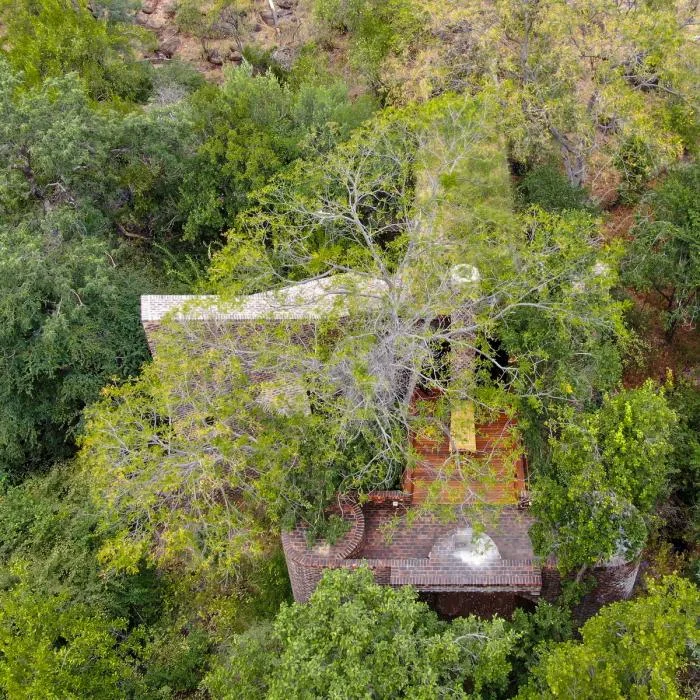 BIM Architecture | Quiet and Simple Residence, Hidden in the Forest: A Narrow House in South Africa