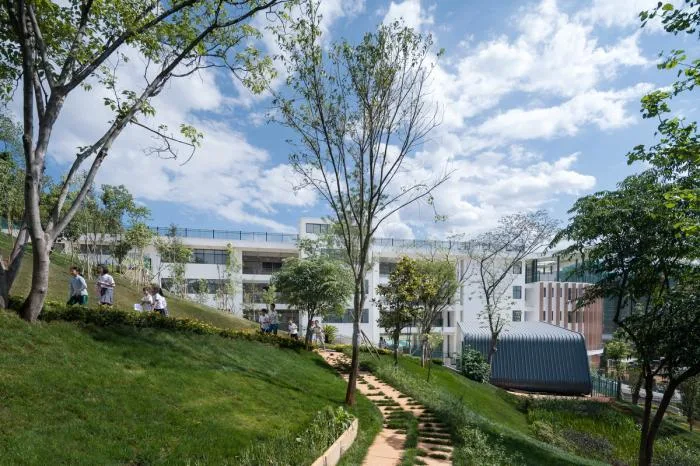 BIM Architecture | Campus Regeneration, Half Mountain Half School: Yunnan Yuxi Ecological Experimental Primary School/Conceptual Design