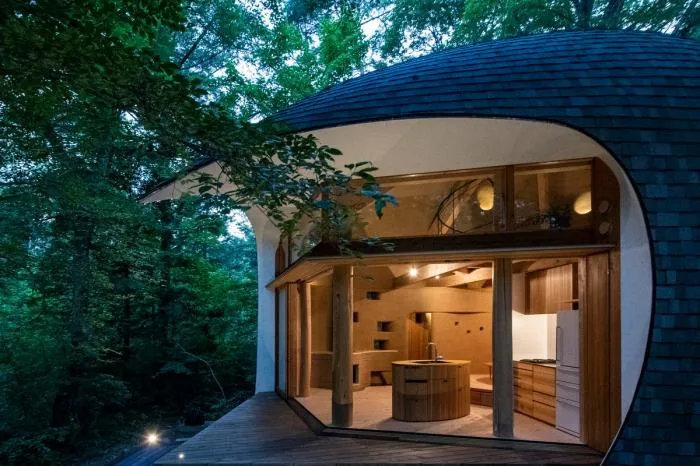 BIM architecture | Cute and playful, shell shaped earthen houses in the forest