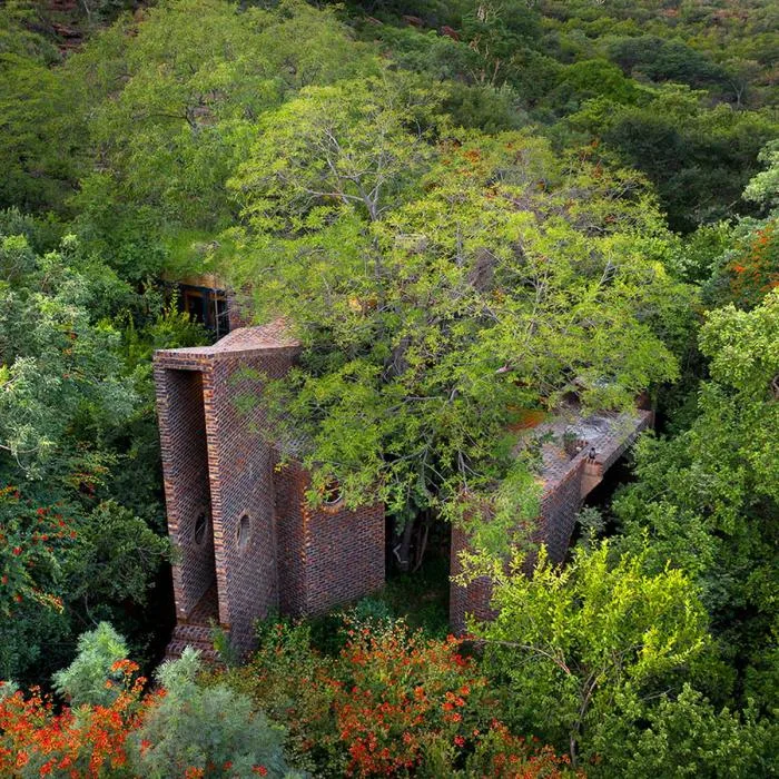 BIM Architecture | Quiet and Simple Residence, Hidden in the Forest: A Narrow House in South Africa