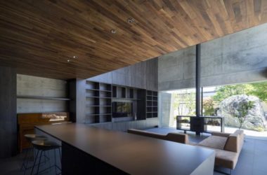 BIM Architecture: Transparent and Scenic Residential 