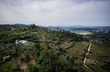 BIM Architecture: A Serene Villa Overlooking the Valley-BIM WORLD