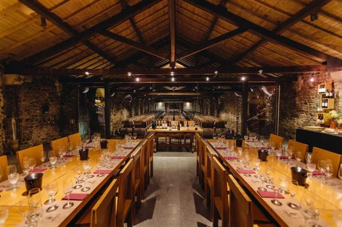 BIM Architecture | Twilight Zone: Wine Tasting Space Design at MONTE D'OIRO Winery in Portugal/PL-T Regular Architecture Firm