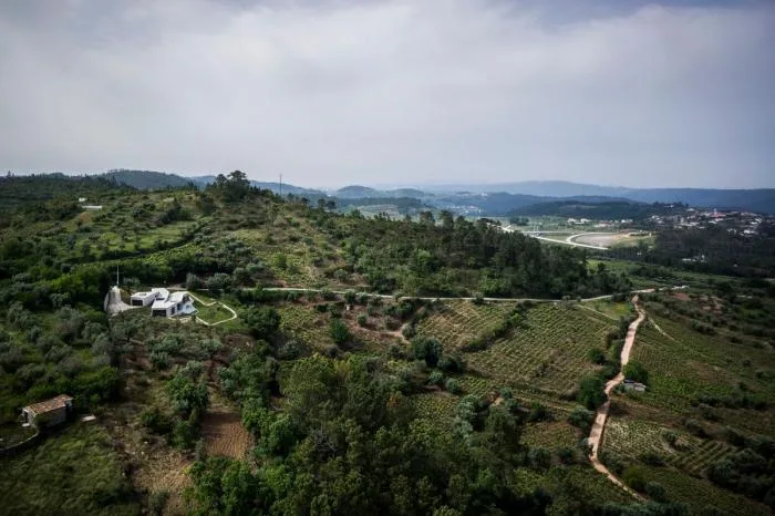 BIM Architecture | Overlooking the Valley, a Free and Quiet Villa