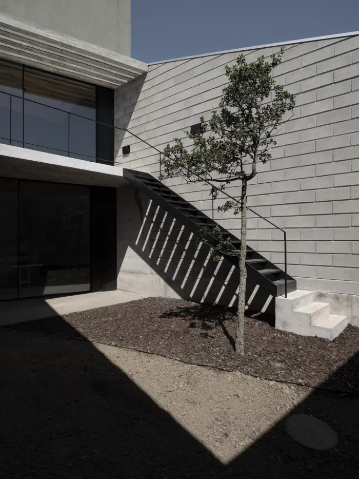 BIM Architecture | Porto Broken House/NPS