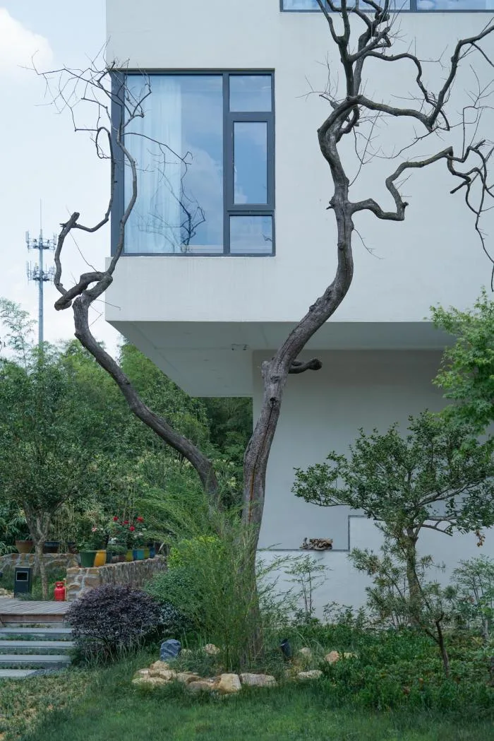 BIM Architecture | Songlou, Yixing/Pingjie Design