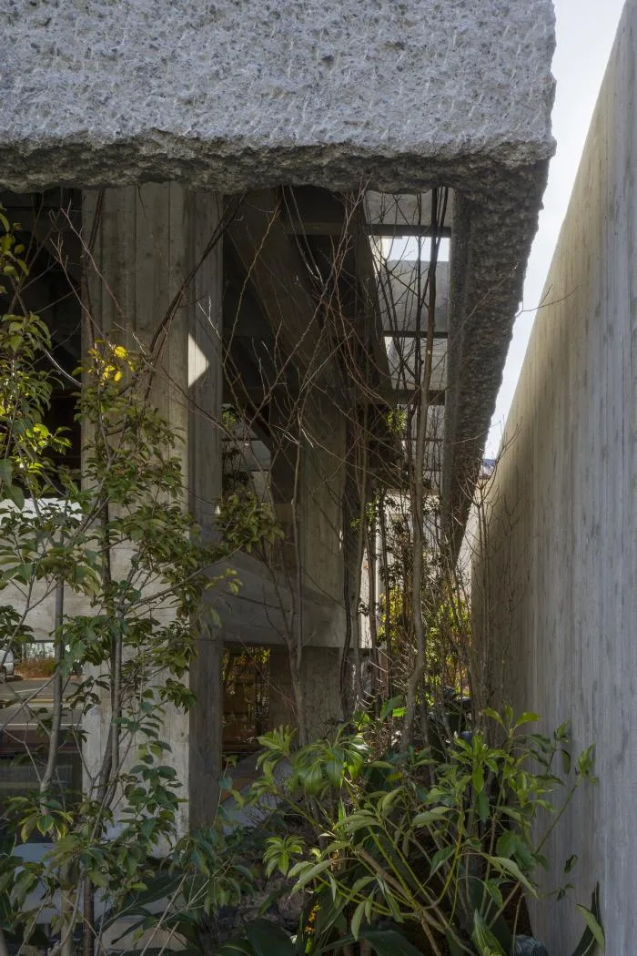 BIM Architecture | Thick and Transparent: Daihara Kendo Semi elevated Brand Store/Shimokawa Toru Architecture Firm
