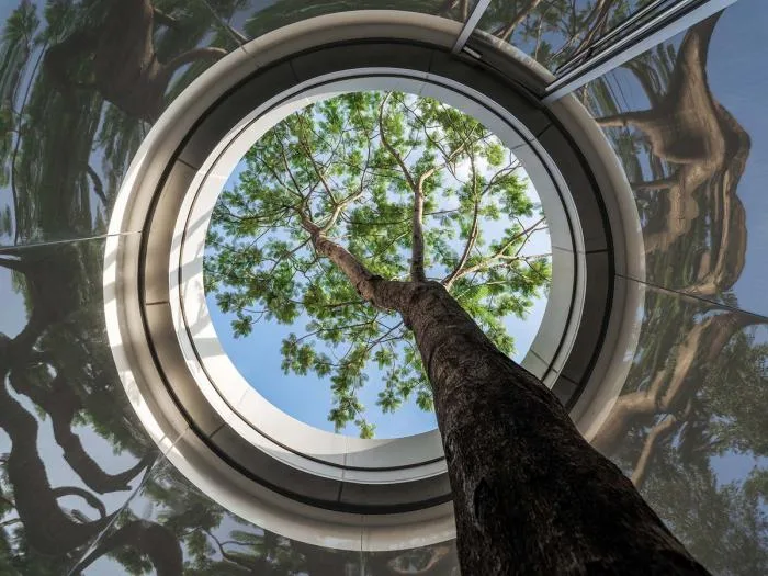 BIM Architecture | Fushan Yunshe/Wutopia Lab