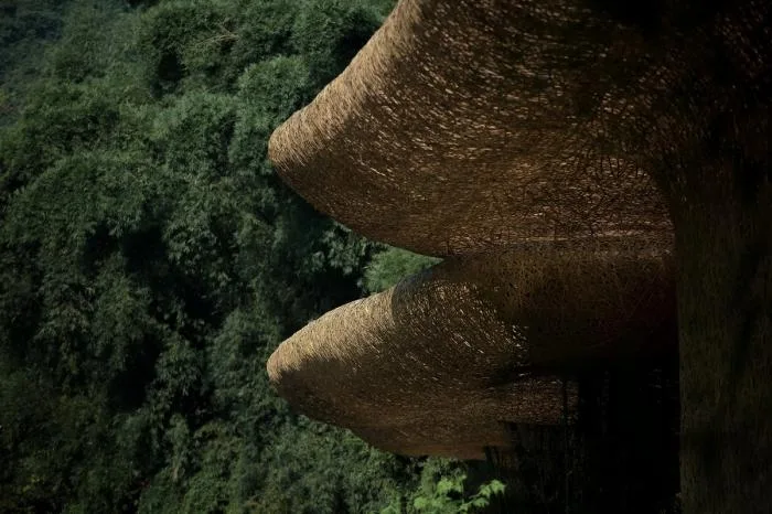 BIM Architecture | Bamboo Grove Pavilion, Terrace, and Tower/Narrative Architecture Design