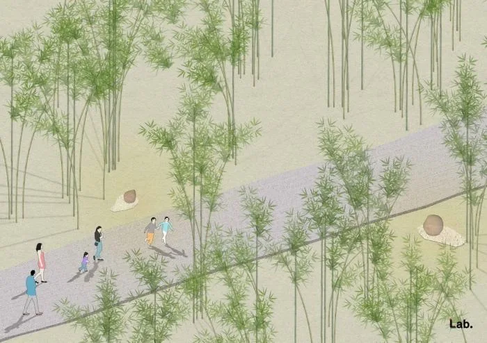 BIM Architecture | Bamboo Grove Pavilion, Terrace, and Tower/Narrative Architecture Design