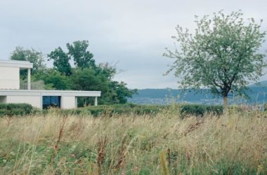 BIM Architecture: Zurich Vineyard Residence Nestled in a Secluded Setting | Think Architecture-BIM WORLD