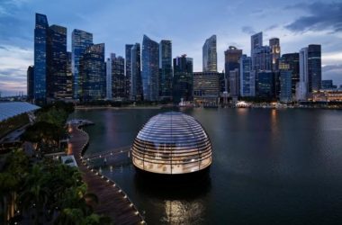 BIM in Architecture: Foster+Partners’ Apple Store at Singapore Marina Bay Sands-BIM WORLD