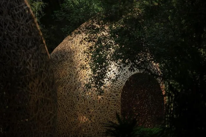 BIM Architecture | Bamboo Grove Pavilion, Terrace, and Tower/Narrative Architecture Design