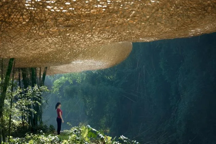 BIM Architecture | Bamboo Grove Pavilion, Terrace, and Tower/Narrative Architecture Design