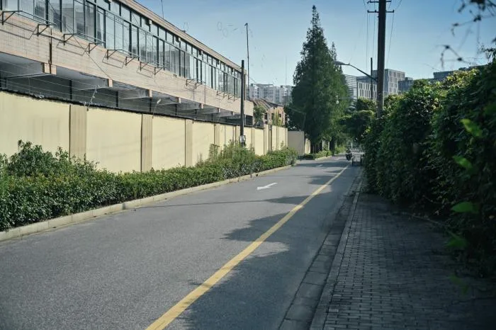 BIM Architecture | Shanghai Street Adaptability Renovation Documentary/Buildings and Buildings