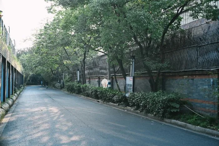 BIM Architecture | Shanghai Street Adaptability Renovation Documentary/Buildings and Buildings