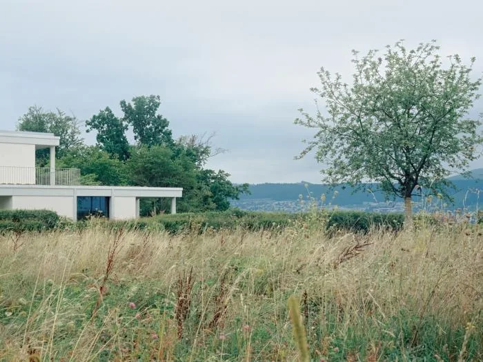 BIM Architecture | Zurich Vineyard Residence, Standing in a secluded world/Think Architecture