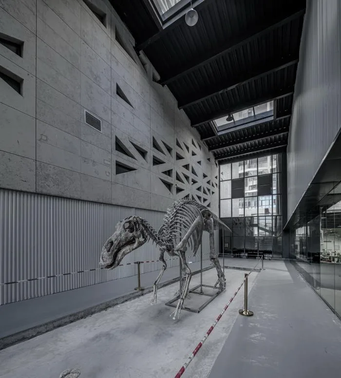 BIM Architecture | Fujian Yingliang Stone Natural History Museum/Contemporary Architecture