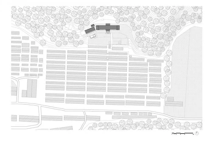 BIM Architecture | Qinyong Elementary School Homestay/Xuke Architecture