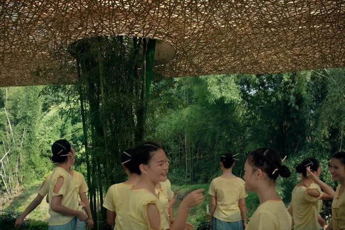 BIM Architecture | Bamboo Grove Pavilion, Terrace, and Tower/Narrative Architecture Design