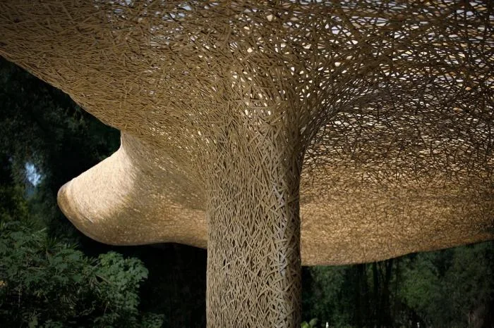 BIM Architecture | Bamboo Grove Pavilion, Terrace, and Tower/Narrative Architecture Design