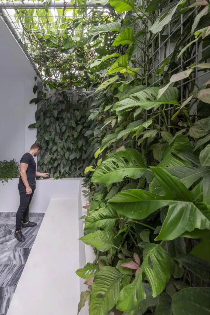 BIM Architecture | Havana 'U' House/Albor Arquitectos