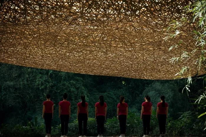 BIM Architecture | Bamboo Grove Pavilion, Terrace, and Tower/Narrative Architecture Design