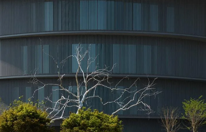 BIM Architecture | Tadao Ando's "He Art Museum" to Open on National Day: Integration of Lingnan Culture and Space