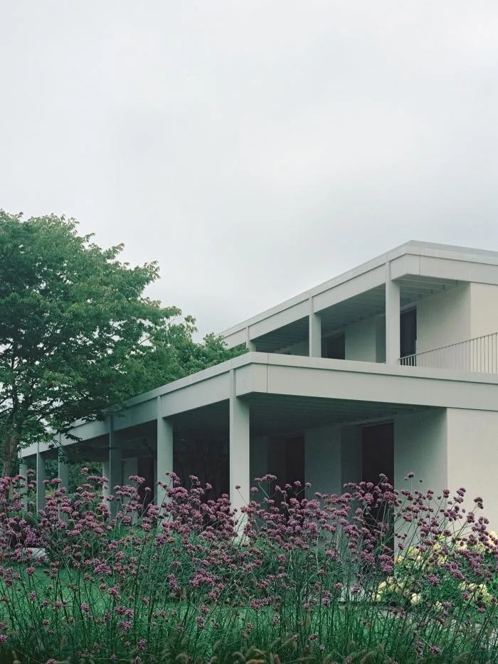 BIM Architecture | Zurich Vineyard Residence, Standing in a secluded world/Think Architecture