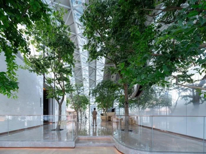 BIM Architecture | City Cover Level New Landmark - Chongqing Raffles/Safdi Architecture Firm