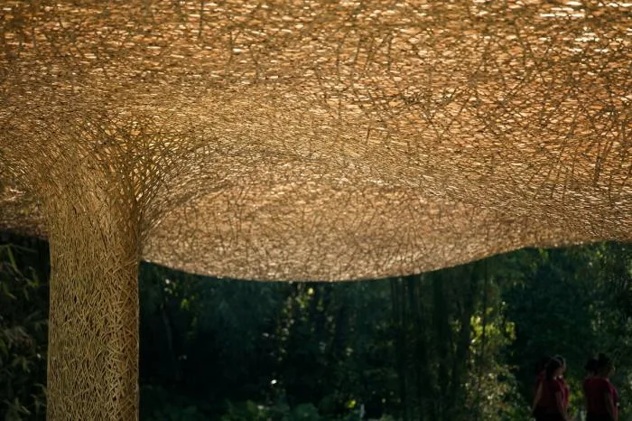 BIM Architecture | Bamboo Grove Pavilion, Terrace, and Tower/Narrative Architecture Design