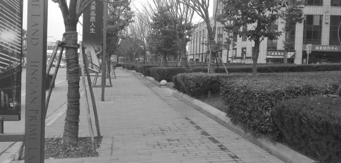 BIM Architecture | Shanghai Street Adaptability Renovation Documentary/Buildings and Buildings