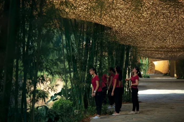 BIM Architecture | Bamboo Grove Pavilion, Terrace, and Tower/Narrative Architecture Design