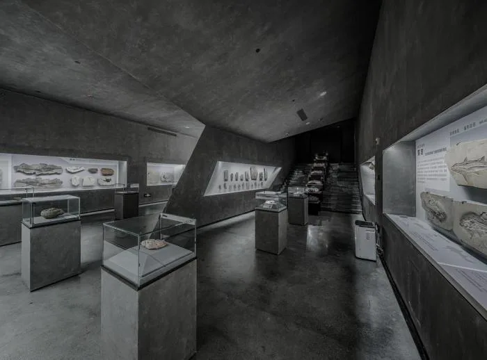BIM Architecture | Fujian Yingliang Stone Natural History Museum/Contemporary Architecture
