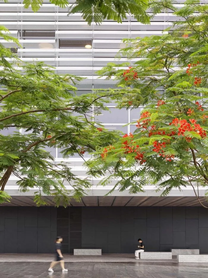 BIM Architecture | Shenzhen Pingshan Grand Theater/OPEN Architecture Firm
