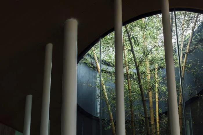 BIM Architecture | Zhuzhi Academy/Xiaoyin Building