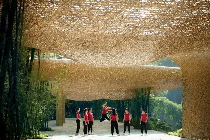 BIM Architecture | Bamboo Grove Pavilion, Terrace, and Tower/Narrative Architecture Design