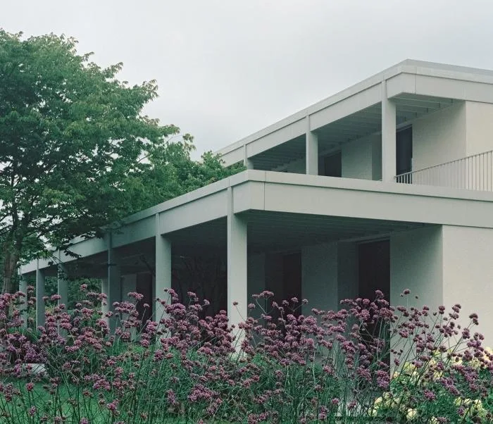 BIM Architecture | Zurich Vineyard Residence, Standing in a secluded world/Think Architecture