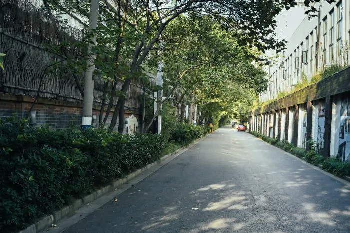 BIM Architecture | Shanghai Street Adaptability Renovation Documentary/Buildings and Buildings