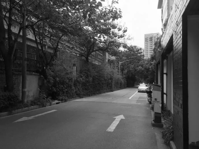 BIM Architecture | Shanghai Street Adaptability Renovation Documentary/Buildings and Buildings