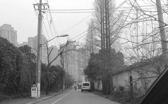 BIM Architecture | Shanghai Street Adaptability Renovation Documentary/Buildings and Buildings