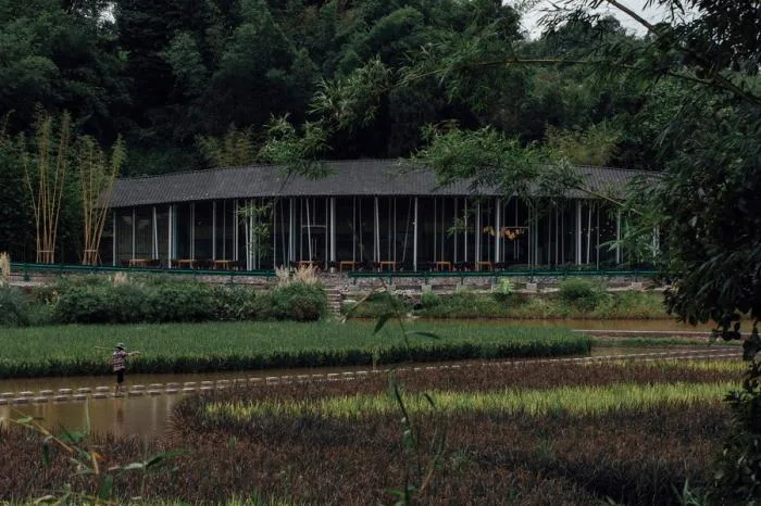 BIM Architecture | Zhuzhi Academy/Xiaoyin Building