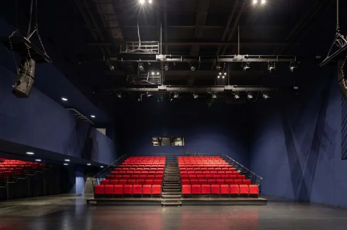 BIM Architecture | Shenzhen Pingshan Grand Theater/OPEN Architecture Firm