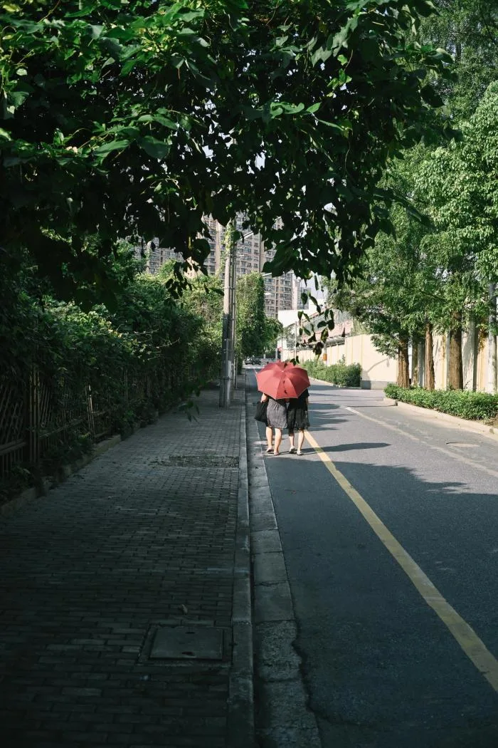 BIM Architecture | Shanghai Street Adaptability Renovation Documentary/Buildings and Buildings