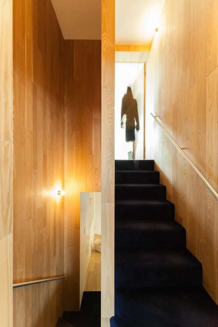 BIM Architecture | Growing and Extending Like Trees: Toyoshima Gallery Residence/Akihisa Hirata Architects, Japan