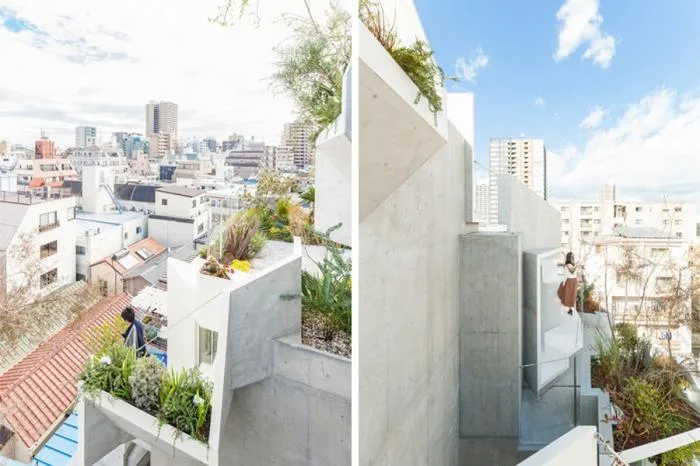 BIM Architecture | Growing and Extending Like Trees: Toyoshima Gallery Residence/Akihisa Hirata Architects, Japan