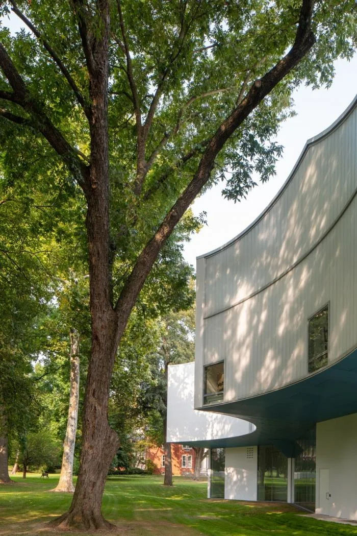 BIM Architecture | Lightly Flying, Born Around Ancient Trees, Went Visual Arts Building/Steven Hall Architects