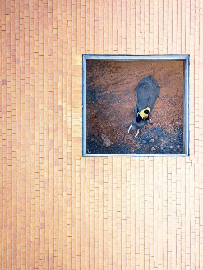 BIM Architecture | "Elephant World" Art and Culture Courtyard/Bangkok Project Studio