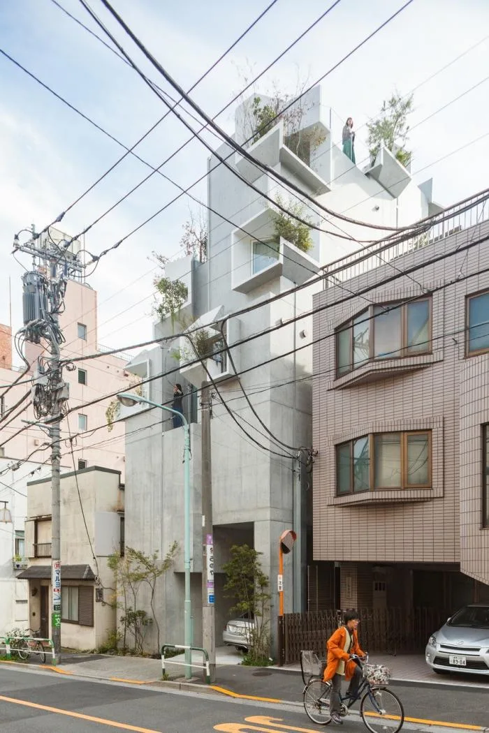 BIM Architecture | Growing and Extending Like Trees: Toyoshima Gallery Residence/Akihisa Hirata Architects, Japan