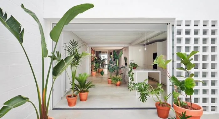 BIM Architecture | Barcelona Residential Renovation, Vertical Connection/Estudi08014